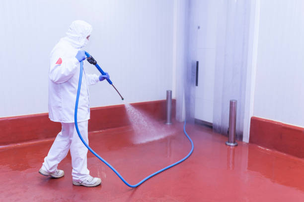 Professional Pressure Washing Services in La Caada Flintridge, CA